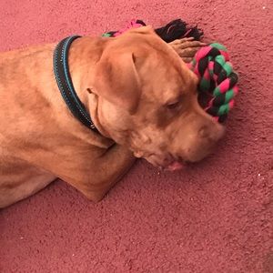 Meet your Posher, Selena